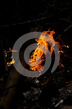 Bonfire with orange flames dark night in a under a blurred background, Flame, heat fire abstract background black background