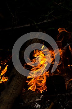 Bonfire with orange flames dark night in a under a blurred background, Flame, heat fire abstract background black background