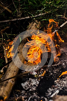 Bonfire with orange flames dark night in a under a blurred background, Flame, heat fire abstract background black background