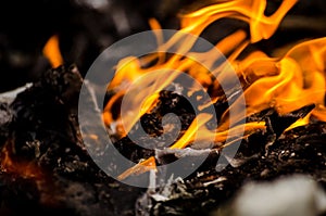 Bonfire with orange flames dark night in a under a blurred background, Flame, heat fire abstract background black background