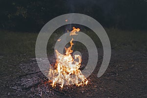 Bonfire and smoke outdoor night bushcraft activity