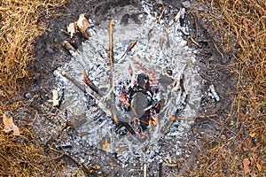 Bonfire in the spring forest on the background of withered grass