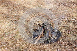 Bonfire in the spring forest on the background of withered grass.