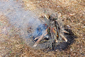 Bonfire in the spring forest on the background of withered grass.