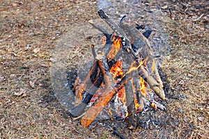 Bonfire in the spring forest on the background of withered grass