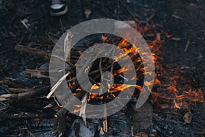 Bonfire in the spring on the nature.