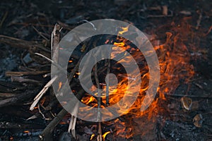 Bonfire in the spring on the nature.