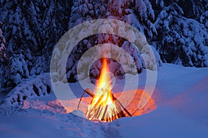 Bonfire in the winter forest illuminates the snow.