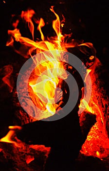 Bonfire, wood logs inflame until the flame. photo