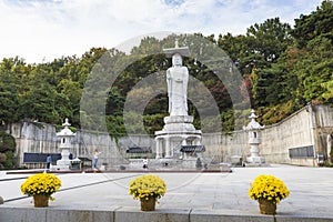 Bongeunsa Temple in the Gangnam District of Seoul, Korea.