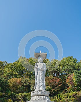 Bongeunsa temple in seoul city