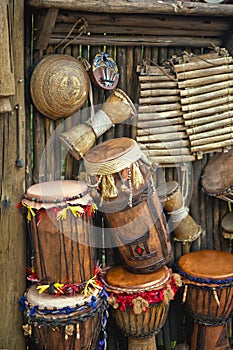 Bongo Drums