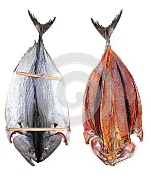 Bonito tuna salted dried fish Mediteraranean sarda photo