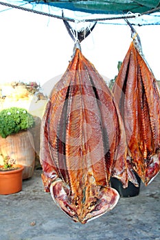 Bonito tuna salted dried fish Mediteraranean sarda photo