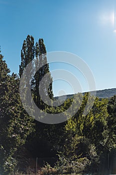 naturaleza montaÃÂ±a sol nubes casas arboles cielo sombras photo