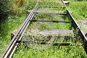 Bonn, Germany - 06 28 2022: Old rails in high grass