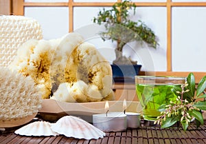 Bonsai and bath products