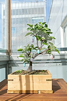 Bonsai decorated with Easter eggs