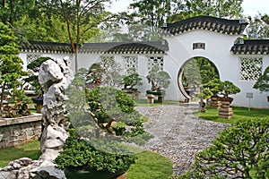 Bonsai garden