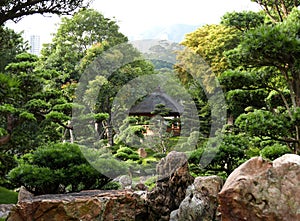 Bonsai Garden in Chi Lin Nunnery in Hong Kong