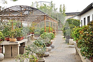 Bonsai Garden in Humble Administrator's Garden