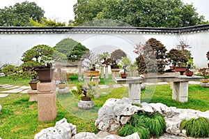 Bonsai Garden in Humble Administrator's Garden