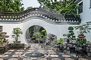 Bonsai garden Kowloon Walled City Park Hong Kong photo