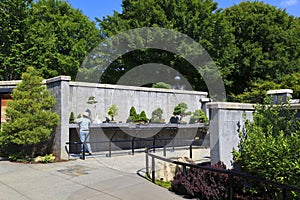 Bonsai Garden at North Carolina Arboretum Asheville