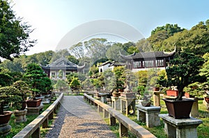 Bonsai Garden