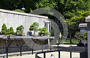 Bonsai Garden Trees at North Carolina Garden Asheville