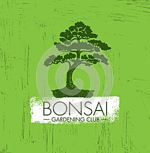 Bonsai Gardening Club Creative Vector Design Concept. Zen Tree Icon Illustration On Rough Background