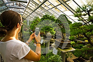 Bonsai greenhouse in Walbrzych, Poland