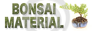 Bonsai Material Words with Growing Tree