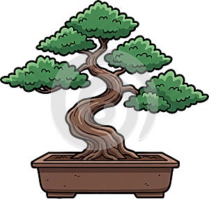 Bonsai Pine in Rectangular Pot