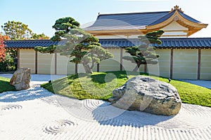 Bonsai pines (Pinus mugo or mountain pine) in dry landscaped Karesansui garden. Japanese garden in the public