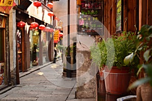 The bonsai plants placed outside a bar at the Shantang Street Suzhou,China.