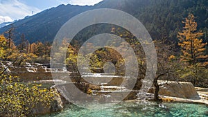 Bonsai Pond Amidst Autumn Foliage, Huanglong, China