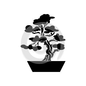 Bonsai silhouette, decorative tree in flower pot, japanese bonsai culture, plant cultivation icon