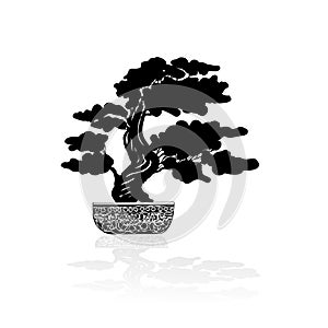 Bonsai silhouette over a white background