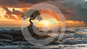 A bonsai tree with big roots standing on a rock in stormy sea, beautiful sunset background