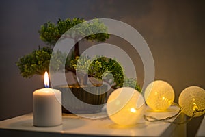 Bonsai tree with candle on white table in bedroom