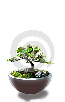a bonsai tree in a circular pot, a nice digital painting