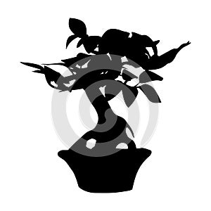 Bonsai tree in flowerpot black silhouette