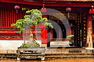 Bonsai tree in front of a red wooden buddist temple. Temple of literature. Hanoi, Vietnam - 04/02/2020