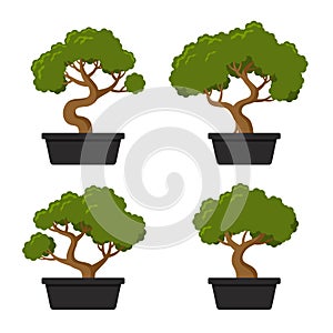 Bonsai Tree Icon Set photo