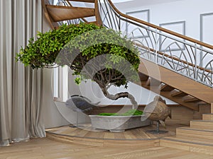 Bonsai tree in the interior of a private house with decorative s