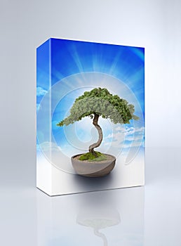 Bonsai Tree Product Box