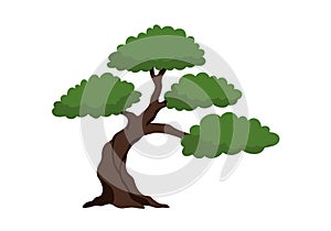 Bonsai tree clip art