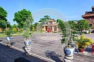 Bonsai trees in the Imperial City Hue, Vietnam. Garden in the Forbidden City of Hue.