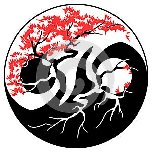 Bonsai Yin Yang photo